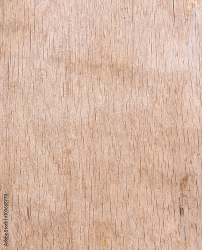 Texture of wood background closeup