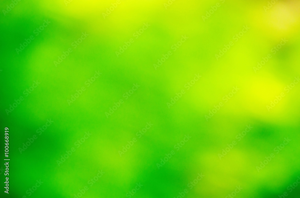 Natural Bokeh,blurred bokeh. Natural Bokeh,blurred bokeh.