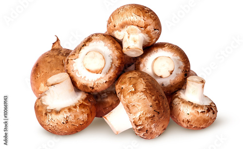Pile of fresh brown champignon top view