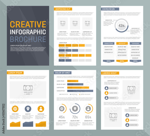 Vector template for multipurpose presentation slides with graphs and charts. Infographic elements, chart, graph, brochures