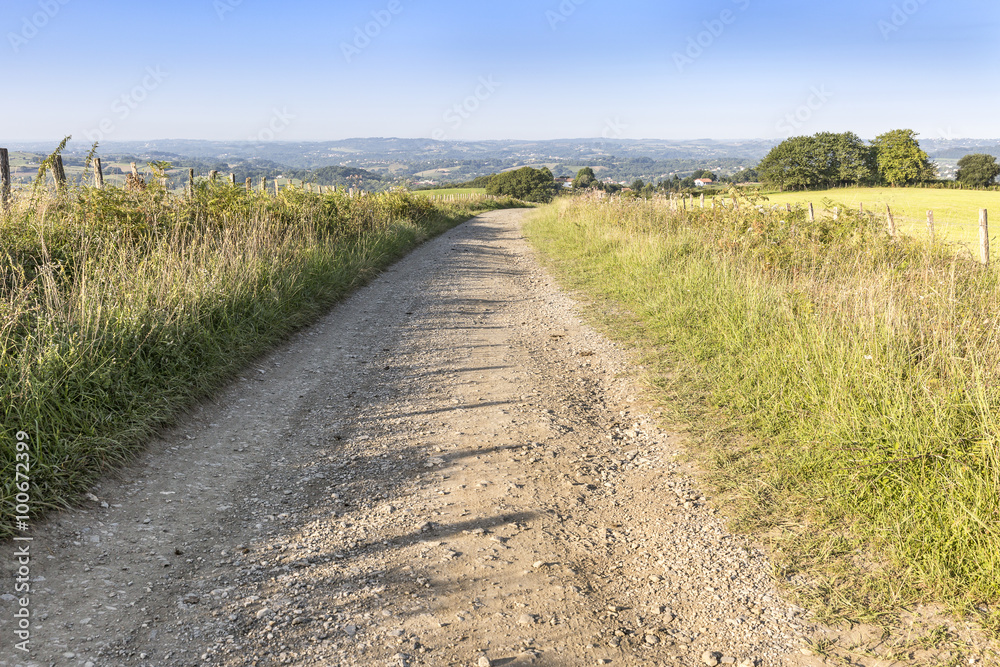 a rural path through a green mountain and a blue sky