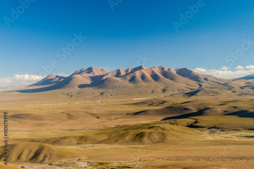 Landscape of bolivian Altiplano