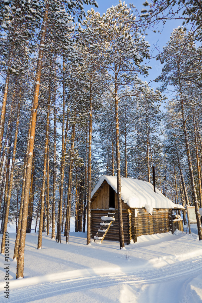 Wood house in a pine forest Wood house in a pine forest