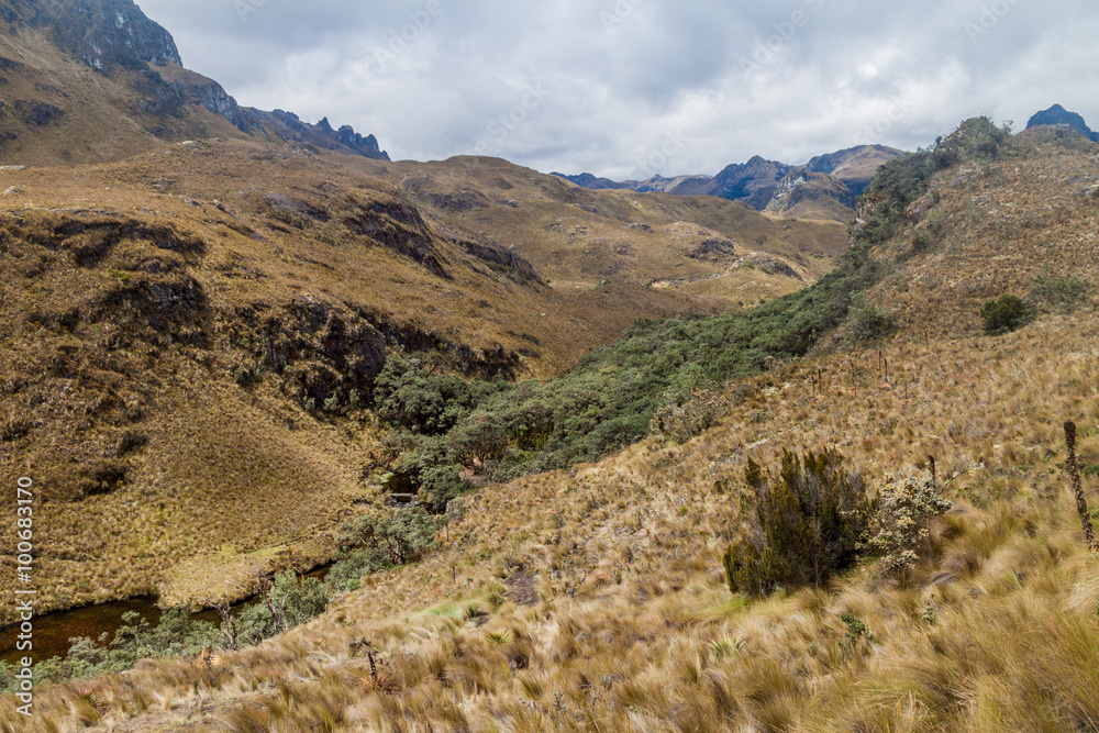Landscape of National Park Cajas, Ecuador