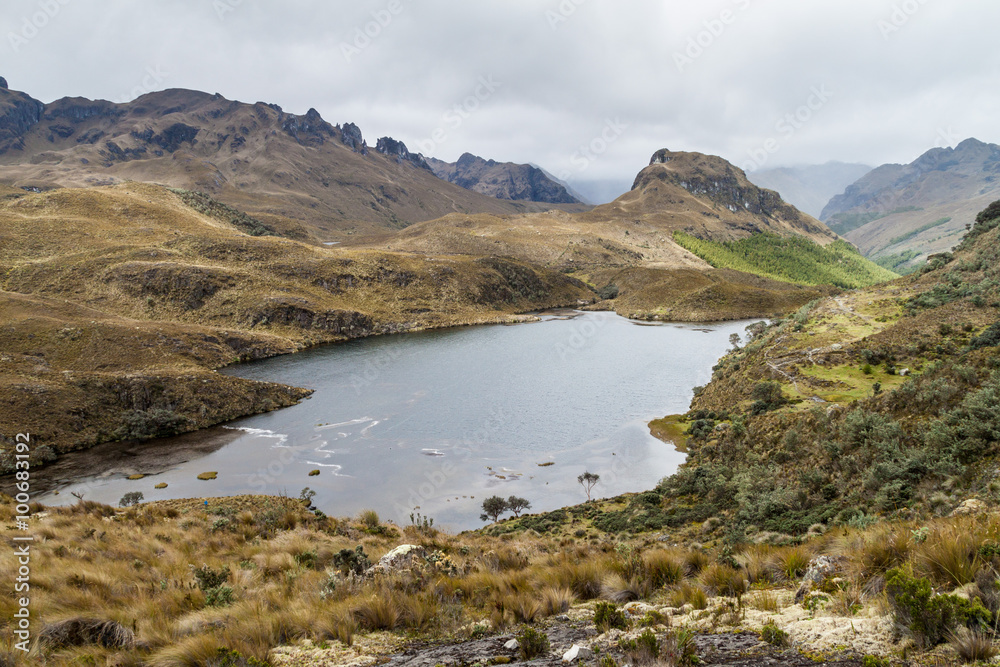 Laguna Patoquinuas lake in National Park Cajas, Ecuador