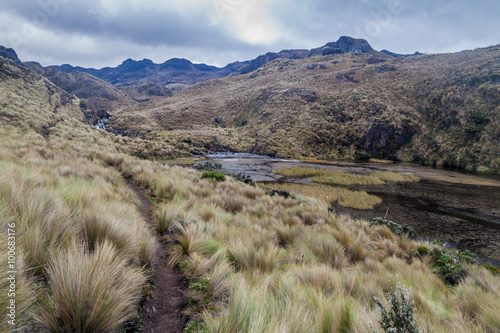Laguna Patoquinuas lake in National Park Cajas, Ecuador