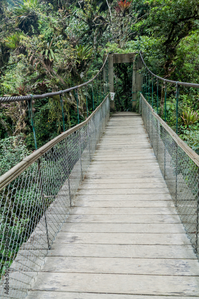 Obraz premium Suspension bridge leading to the viewpoint on Pailon del Diablo (Devil's Cauldron) waterfall near Banos town, Ecuador