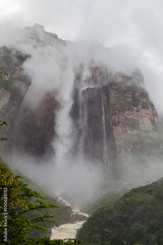 Fototapeta premium Angel Falls (Salto Angel), the highest waterfall in the world (978 m), Venezuela. Covered in clouds during the rainy season.