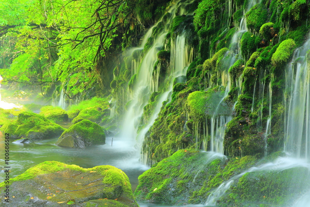 Naklejka premium 秋田県 夏の元滝伏流水
