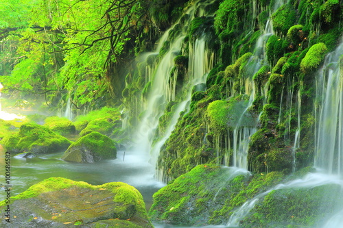 秋田県 夏の元滝伏流水