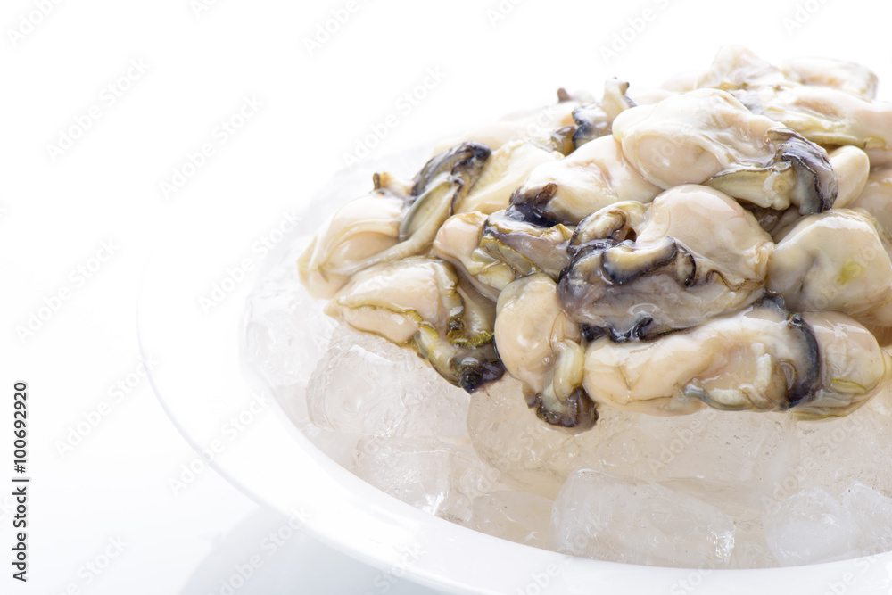 oysters oysters