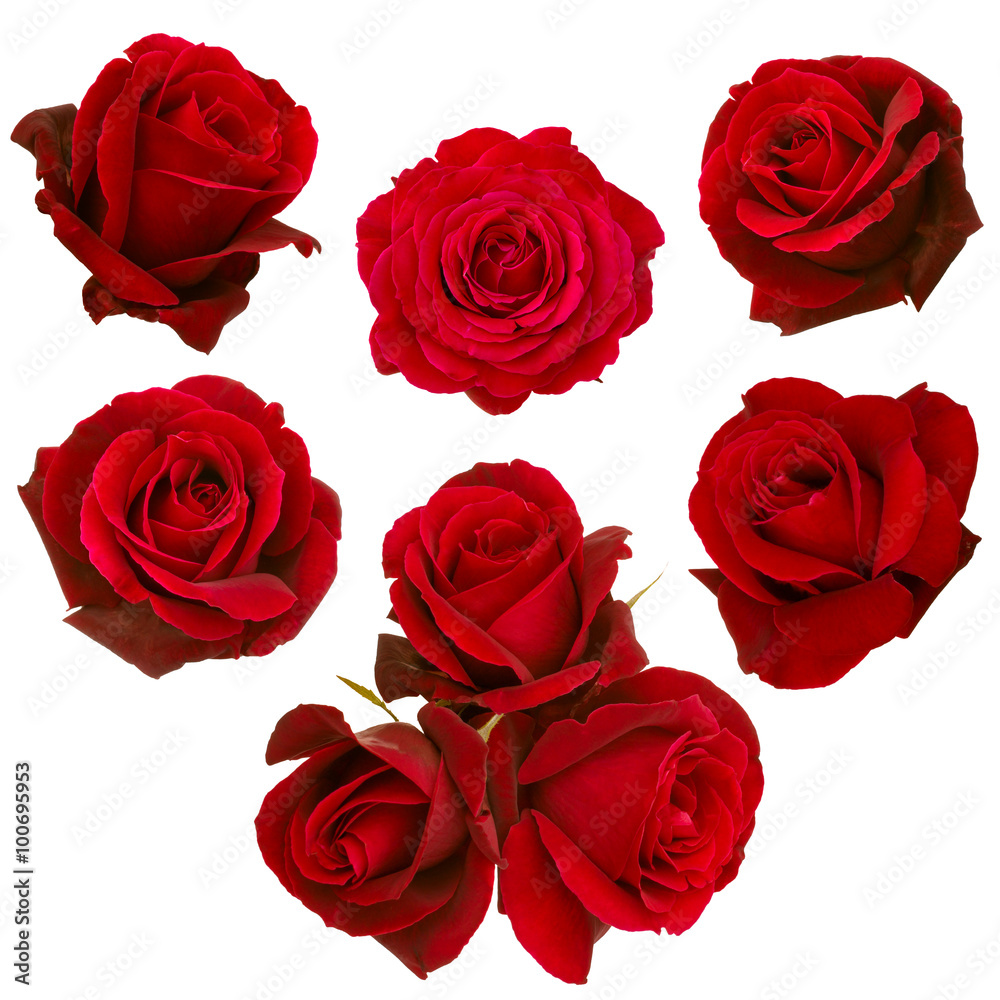 collage of red roses - obrazy, fototapety, plakaty 