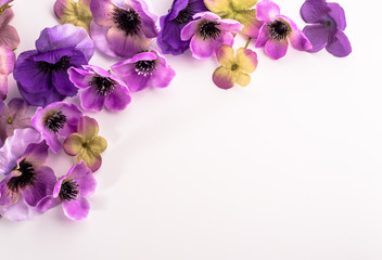 Floral frame with beautiful violets flowers selected on white background