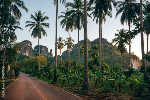Morning landscape with road, palm trees and mountains in Krabi