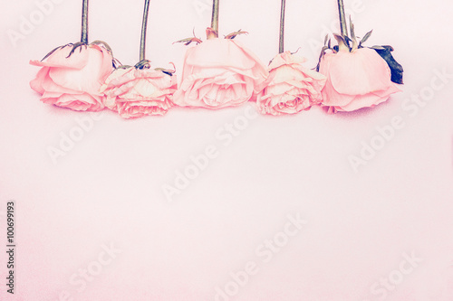 Roses floral border on pastel pink background, top view. Festive greeting card.