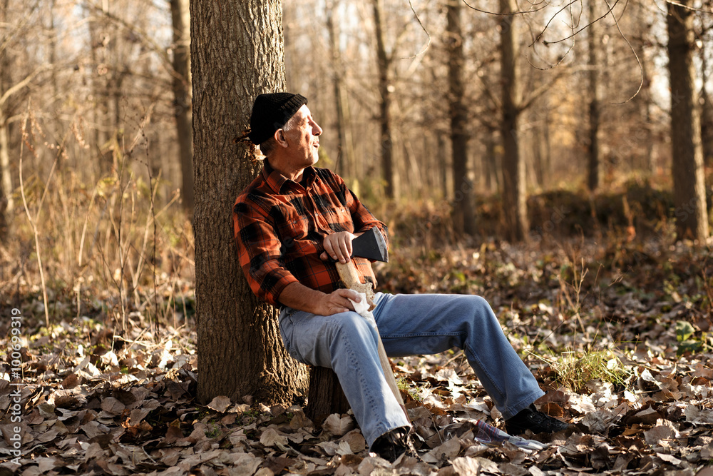 Portrait of senior lumberjack in forest sitting on a tree stump. He is resting and having lunch break.