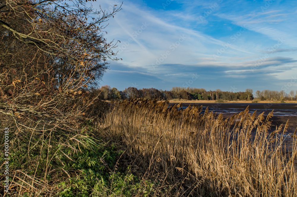 Fototapeta premium Ufer