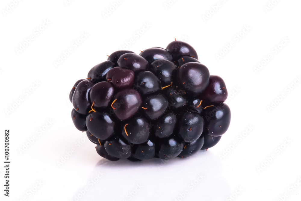 blackberry isolated on a white background blackberry isolated on a white background