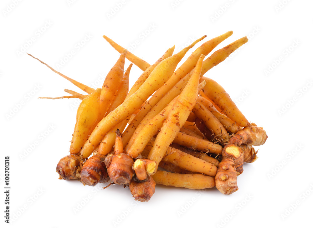 whole rhizome, finger root on white background whole rhizome, finger root on white background