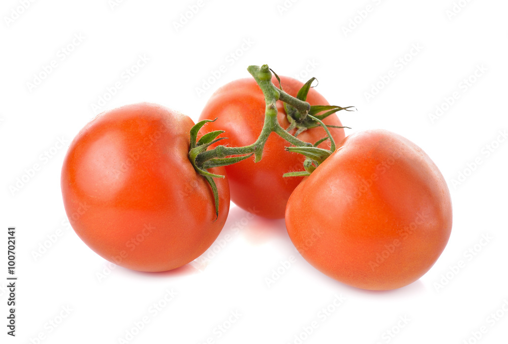 bunch of fresh tomato with stem on white background
