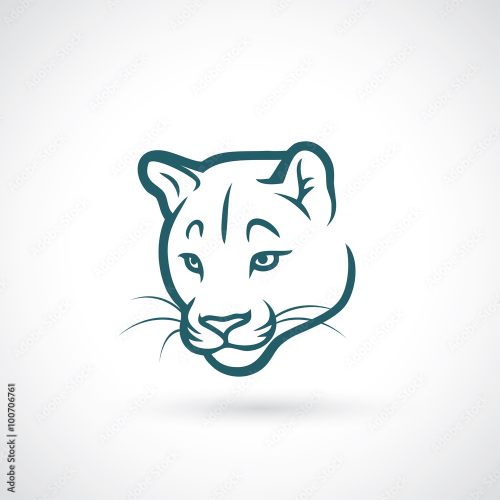 Obraz premium Cougar face