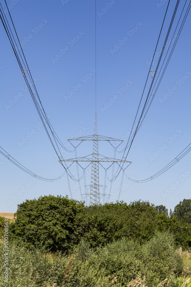 power tower behind some trees with blue sky