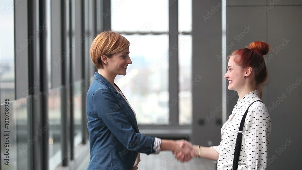 Two female advertising executives shaking hands Two female advertising executives shaking hands