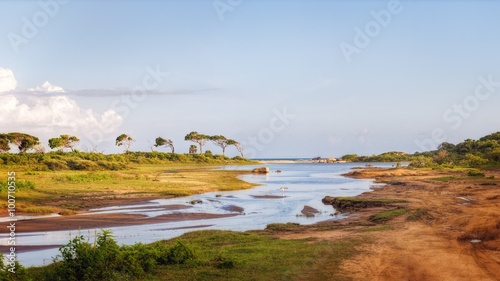 Tableau sur toile Wetlands in the Yala National Park, Sri Lanka