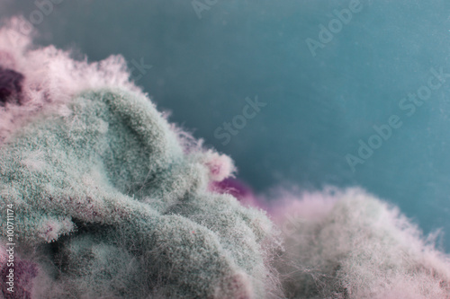 Moss macro