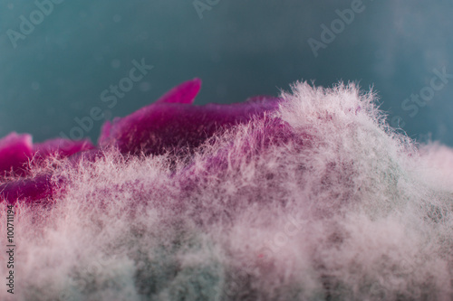 Abstract Landcape