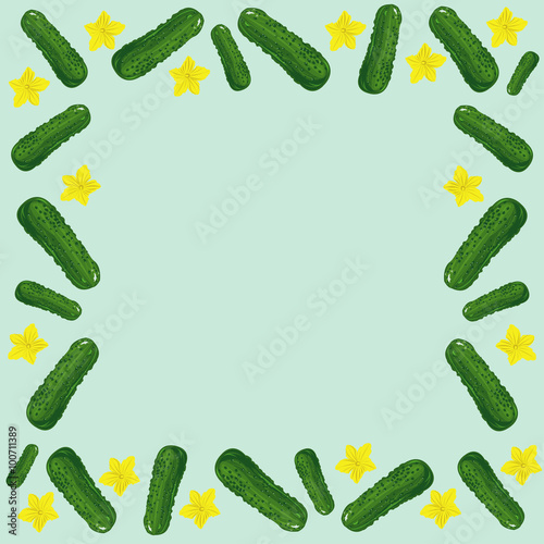 Frame cucumber