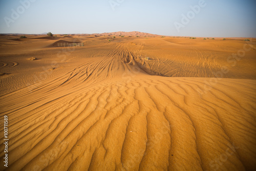 Fototapeta Naklejka Na Ścianę i Meble -  sand dunes in the desert