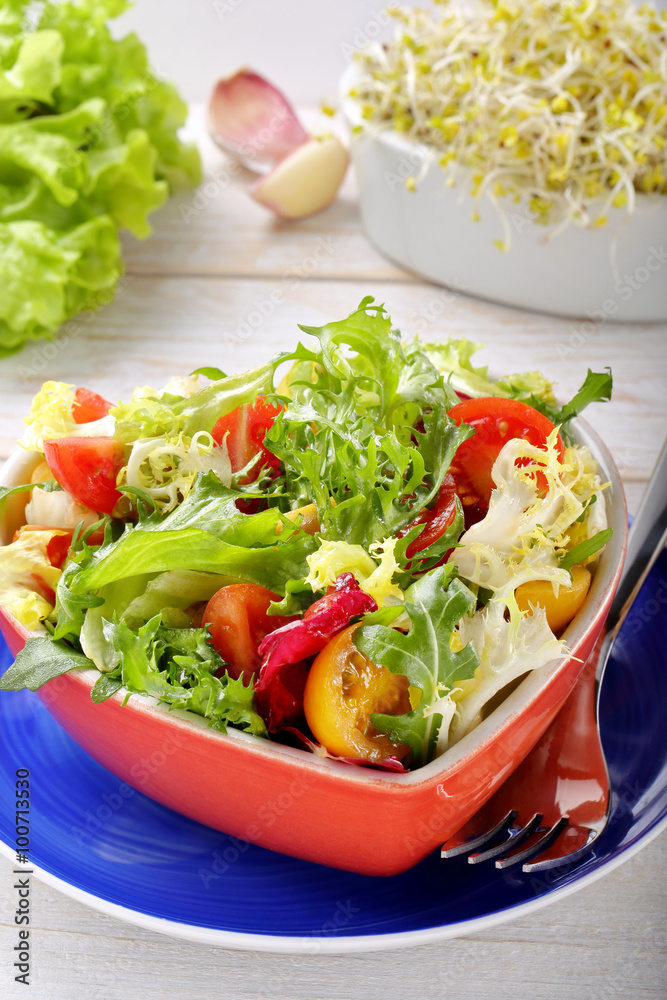 Fresh healthy salad in a bowl with grissini and sprouts Fresh healthy salad in a bowl with grissini and sprouts