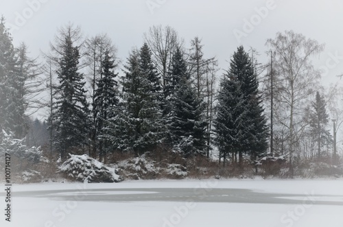 Weißer Winterwald am zugefrohrenem See bei trübem Wetter