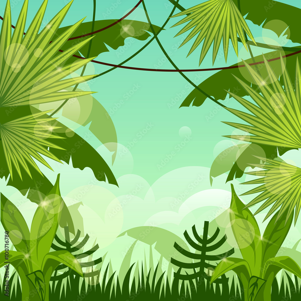 Naklejka premium krajobraz leśny. dżungla. niebo.