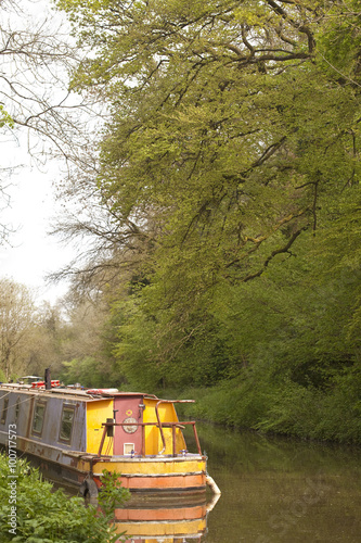Avon Canal. In Spring the trees still clearly show the lines of their branches through the regrowth of the foliage after winter.