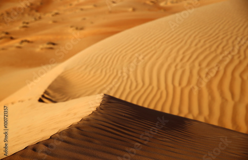 Close up of a sand dune at sunset, Rub al Khali or Empty Quarter, Oman
