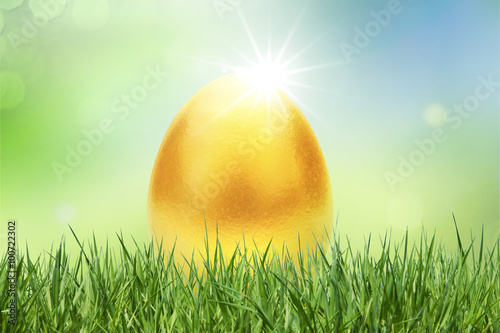 Goldenes Osterei im Gras
