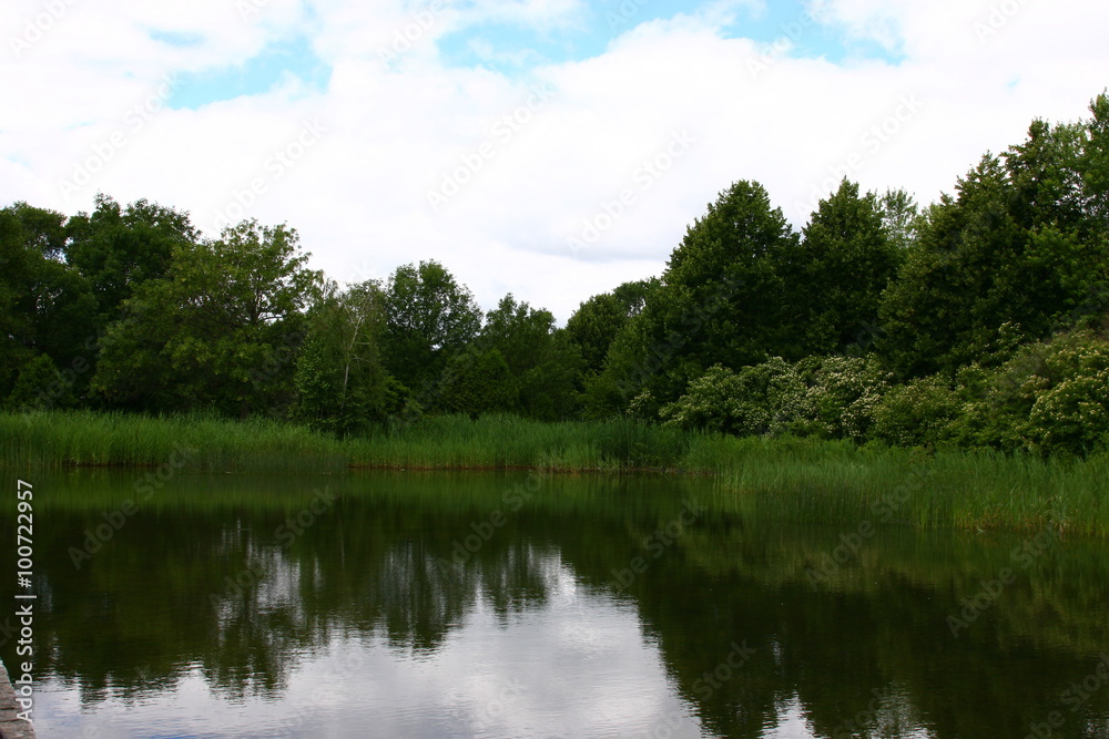 Lac des Cygnes, Île Sainte-Hélène Lac des Cygnes, Île Sainte-Hélène