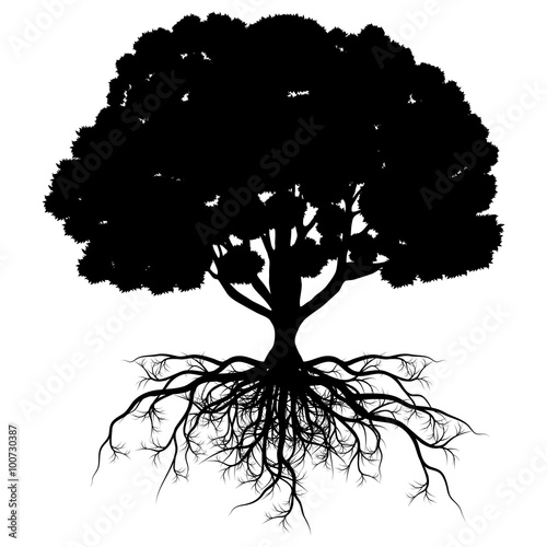 Tree of life vector background abstract shape stylized tree with photo