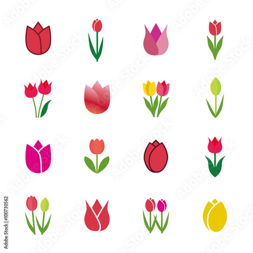 Fototapeta Naklejka Na Ścianę i Meble -  Tulip icons, vector illustration