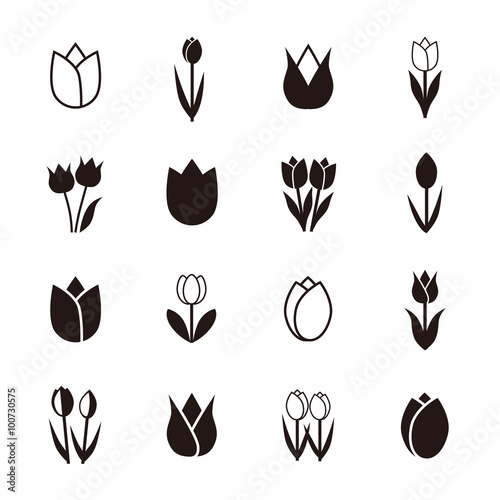 Fototapeta Naklejka Na Ścianę i Meble -  Tulip icons, vector illustration