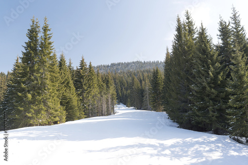 winter resort slope track