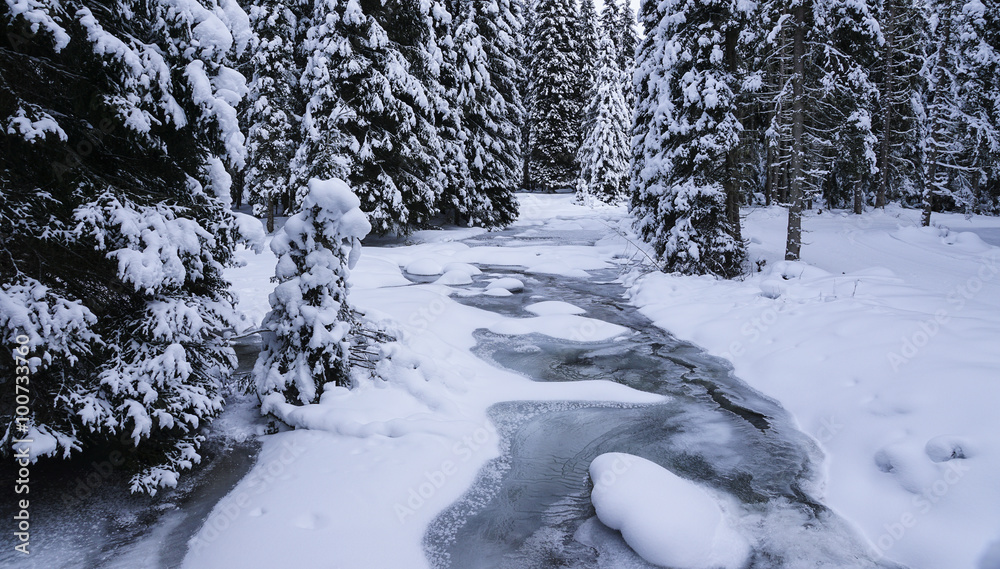 Winterwald mit Eisbach