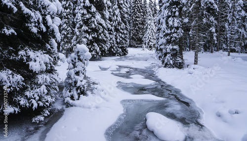 Obraz na płótnie Winterwald mit Eisbach w salonie