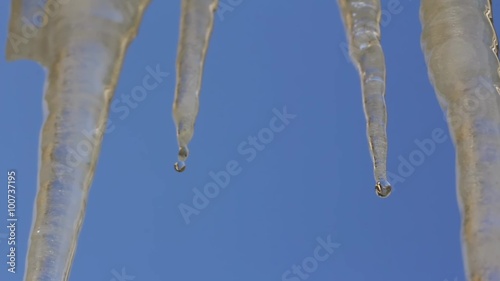 Icicles melting on a blue sky photo