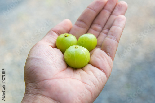 Indian gooseberries on the hand