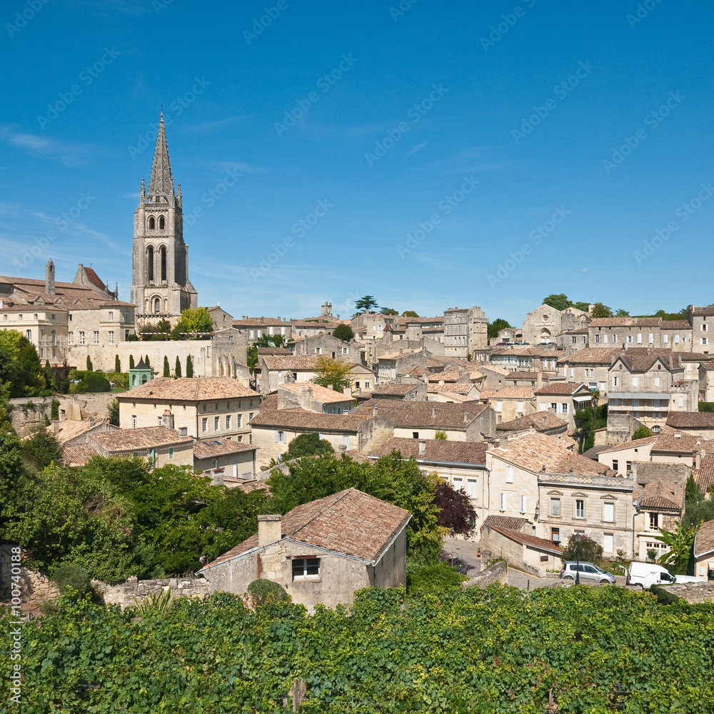 Vineyard and town of Saint-Emilion, France 


