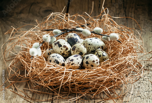 Quail eggs in a nest of straw and twigs of willow, selective foc