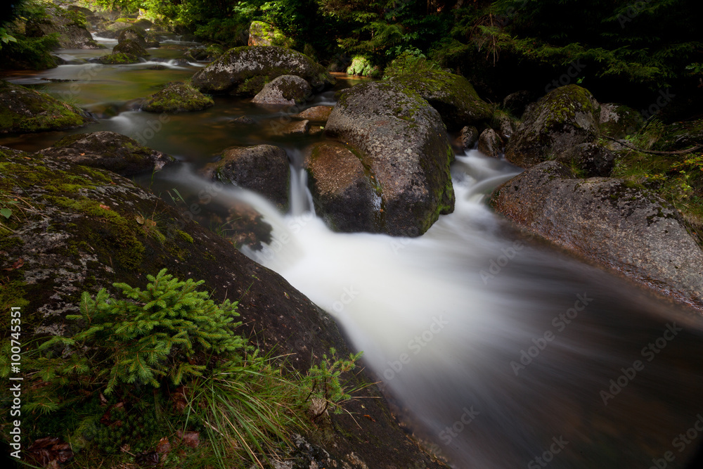 crystal clear mountain stream in the woods